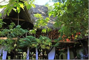 Dominican Tree House Village Eco Lodge Samana